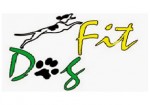 dog-fit-morumbi-1423242461