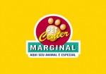 pet-center-marginal-morumbi-1423241906