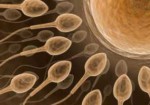 clinicas-de-fertilizacao-humana-morumbi-1425417031