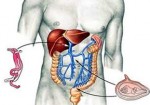 gastroenterologia-morumbi-1425421970