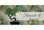 kawai-morumbi-1425415725