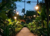 iluminação de avenidas