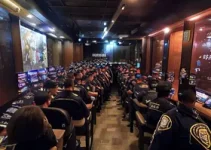 venda ilegal de camarotes