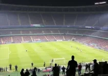 venda ilegal de camarotes