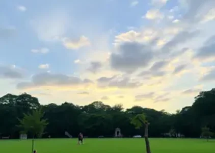 Últimas noticias de Morumbi