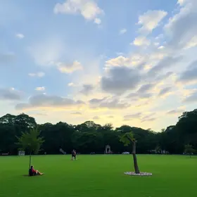 Domingo no Parque