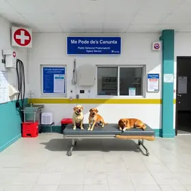 Hospital Veterinário Público de São José dos Campos