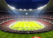 shows no Morumbi