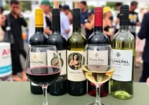 Wine Locals Festival