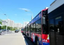 linhas de ônibus