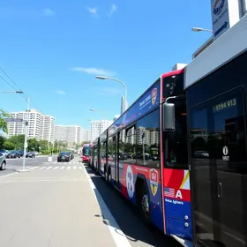 linhas de ônibus